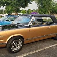 Image result for Sungold Amber 1966 AMC