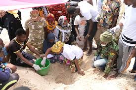 Image result for Haplocoelum inoploeum