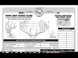 pope and young scoring