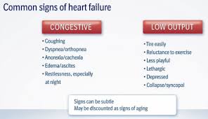 Signs Of Congestive Heart Failure Chart Usdchfchart Com