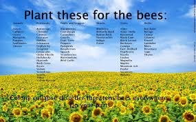 If a bee has an effect (like the imperial bee's beatific healing effect) it can work over a. Plant These For The Bees Romancing The Bee