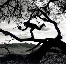 Tom Waits On The Other Side Of The World Lay Your Head Where My Heart Used To Be Hold The Earth Above Me Lay Down In The Green Grass Remember When You Loved Me Come Closer Don T Toms Rainy Sky Image