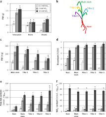 developmental and physiological responses of brachypodium