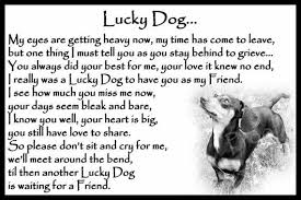Memorial pet urns by angel ashes help provide a lasting memory for your cat or dog. Rainbow Bridge Dog Poems Dog Grief Pet Quotes Dog