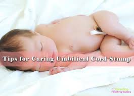 We did not find results for: Baby S Umbilical Cord Stump How To Care For It