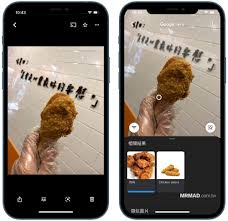 Registration is required through either google, facebook, or email, but no credit card information is this is a very popular plant identification app for android that helps you identify flowers that you. Hidden Technique For Google Photos Identify Flowers Plants Cats And Dogs Landscapes And Food In 1 Second Mr Crazy