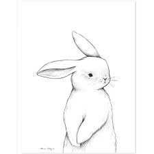 Affiche Lapin De Face 30 X 40 Cm Affiches Bebe Dessin Lapin Chambre Bebe Lapin