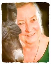 Who will look after tigers, wolves, birds & horses as sanctuarians age?