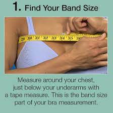 Bra Size Calculator How To Measure Your Bra Size Justmysize Bra Measurements Bra Size Calculator Bra