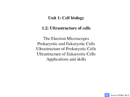 Ultrastructure of animal cell pdf. Pdf 1 2 Ultrastructure Of Cells Pdf Xavier Daniel Academia Edu