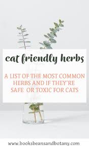 I will go into detail more about what each flower and herb is for. Herbs Safe For Cats A Comprehensive List Of The Safe Vs Toxic Herbs