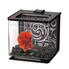 Marina Betta Ez Care Black Aquarium Kit 0 7 Gallon Petco Store Aquarium Kit Betta Betta Aquarium