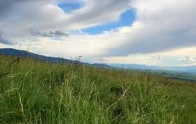 CONSERVATION DISTRICT DIRECTORY