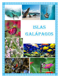 Pega pega (pisoniafloribunda) es un gran árbol de muchas ramas que crece hasta 15 metros de altura en la zona de transición, que normalmente está cubierta de musgos y líquenes. Revista Galapagos By Ronaldo Parraga Issuu