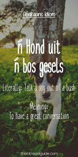 Image Result For Afrikaanse Idiome Afrikaans Idioms Best Friend Quotes Funny