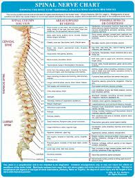 About The Spine Wood Family Chiropractic Center