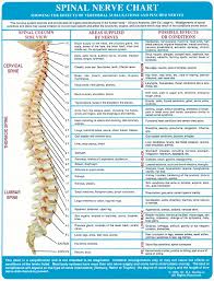 About The Spine Wood Family Chiropractic Center