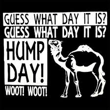 63,101 likes · 98 talking about this. Guess What Day It Is Camel Commercial Hump Day T Shirt Bewild