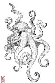 Octopus Art Google Search Octopus Tattoo Design Octopus Tattoo Crown Design