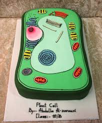 Animal cell parts animal cell model diagram project parts structure labeled coloring and plant cell organelles cake. 13 Cells Cakes Designs Photo 3d Plant Cell Model Cake Plant Cell Cake And Plant Cell Cake Snackncake