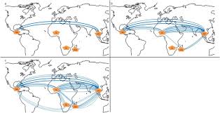 Image result for Dioscorea cochleari-apiculata
