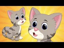 kedi kedicik cocuk sarkisi youtube kedi ci k bebek hatira kedi