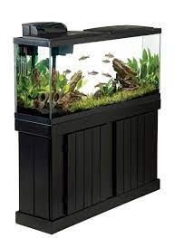 We did not find results for: 6 Tips For Setting Up A New Fish Tank