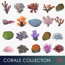 Corals Sun Brain 3d Model Https Static Turbosquid Com Preview 2018 02 21 11 37 25 T 02 Jpgbf6257f5 875c 47e9 Bede 1d04fe4b84a1default J In 2020 3d Model Coral Model