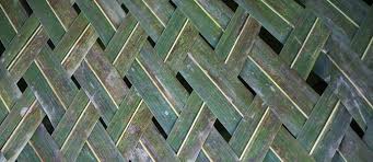 The area is in a gated. 10 Ways To Use Palm Fronds In The Home And Garden The Permaculture Research Institute