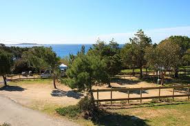 Tijdens het hoogseizoen worden er voor groot en klein leuke activiteiten georganiseerd zoals karaoke. Campingplatz La Tour Fondue Auf Der Halbinsel Giens Porquerolles Gegenuber