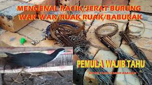 Jebakburung.com menawarkan jebak wak wak 100% buatan tangan pakda dengan harga pasang jerat racik dalam mode kotak, usahakan peebanyak tiang agar racik tidak mudah jatuh ketika. Macam Macam Jenis Racik Burung Wak Wak Atau Ruak Ruak Jerat Burung Youtube