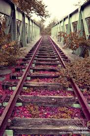 Pink Track Mobile Wallpaper Train Tracks Abandoned Train Railroad Tracks