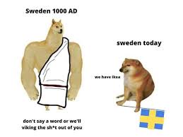 Then Now Dog Meme In 2020 Dankest Memes Doge Meme Me Too Meme