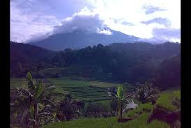 Kamu bisa mengunjungi agrowisata dan wisata pengetahuan bahkan camping dan. Kebakaran Hutan Ciremai Sulit Dipadamkan Republika Online