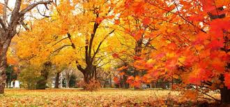 Outside the tropics, autumn marks the transition from summer to winter, in september (northern hemisphere) or march (southern hemisphere), when the duration of daylight becomes noticeably shorter and the temperature cools considerably. 1åˆ†ã§ã‚ã‹ã‚‹ Fallã¨autumnã®é•ã„ã¨æ­£ã—ã„ä½¿ã„æ–¹ ãƒšãƒ©ãƒšãƒ©éƒ¨