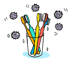 ãæ­¯ãã©ã·éèãã®ç»åæ¤ç´¢çµæ