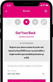 The get my payment web tool lets you check on the status of your payment or enter your direct deposit information. Open A Free Online Checking Account T Mobile Money