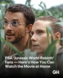 Watching Bailey and inspiration hits me like a volleyball in the face.  WHAM! Explosion!!