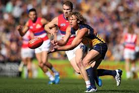 Blues live to fight another day … for now. Afl Round 21 West Coast Eagles Thump Western Bulldogs Photos Video Wellington Times Wellington Nsw