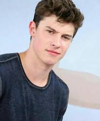 Shawn Mendes face card never declines 💦🔥❤️