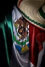 Check spelling or type a new query. 220 Mexican Flag Ideas Mexican Flags Mexican Mexican Culture