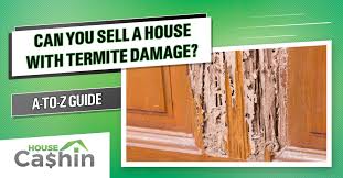 Read about the structural damage termites can do to the ceilings, floors, and walls of your home and see pictures to illustrate the severity of the damage caused. Can You Sell A House With Termite Damage Yes Learn How