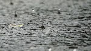 Temperatur, nederbörd (regn och snö), vind, lufttryck, luftfuktighet, sikt, solens uppgång och nedgång. Epzehkblwa000m
