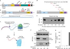 Unbiased discovery of autoantibodies associated with severe COVID-19 via  genome-scale self-assembled DNA-barcoded protein libraries