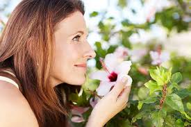 Pink &amp; Purple Flower