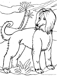 Dogs coloring pages for adults. Coloriage Chien Dog Coloring Page Puppy Coloring Pages Coloring Pages