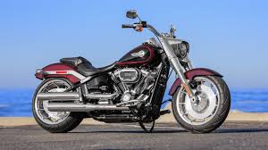 Image result for Vivid Black 1994 FLSTF