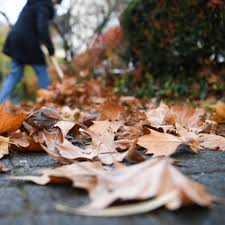 Das zeigte das amtsgericht kurzerhand übernahm der nachbar das prozedere, was das amtsgericht als rechtskonform beurteilte. Laub Vom Nachbarn Im Garten Wer Muss Es Entfernen Wohnen