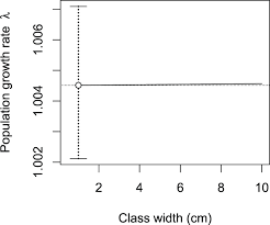 Image result for Celtis zenkeri