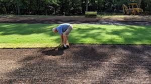 Waiting for grass to grow is admittedly. How To Plant Zoysia Grass Plugs With Video Proplugger